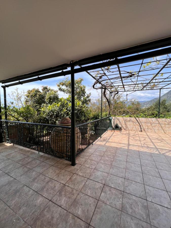 קלמאטה Panorama Studio מראה חיצוני תמונה